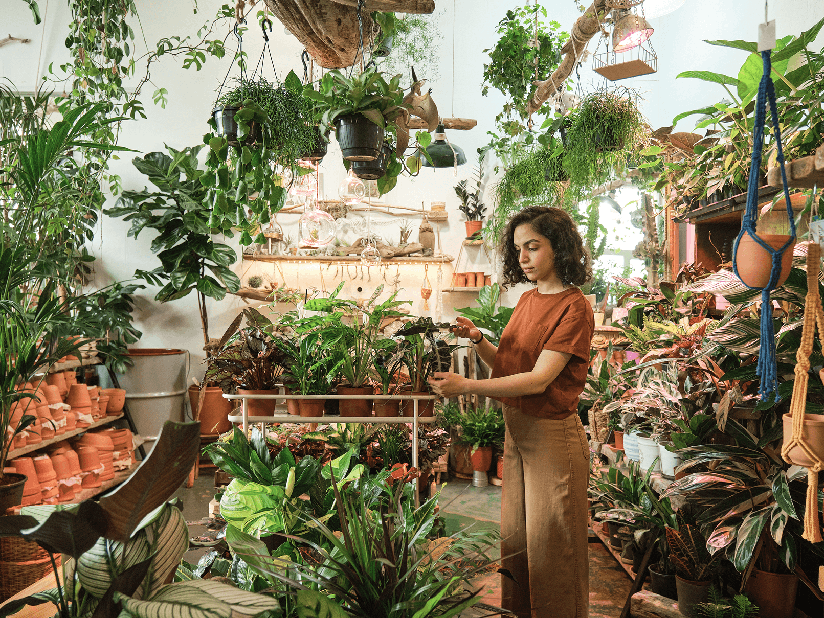 Plant & Garden — ecommerce storefront on Juoto